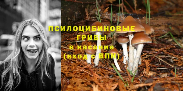 ALPHA PVP Вязьма