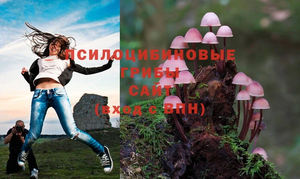 ALPHA PVP Вяземский
