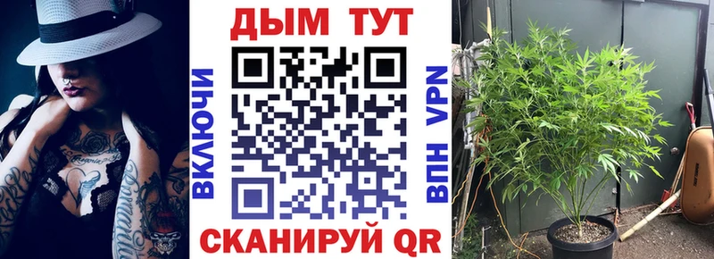 Марихуана марихуана  Курган 